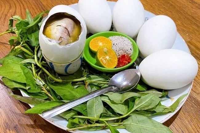 Hướng dẫn ấp trứng vịt lộn bằng máy ấp trứng Mactech