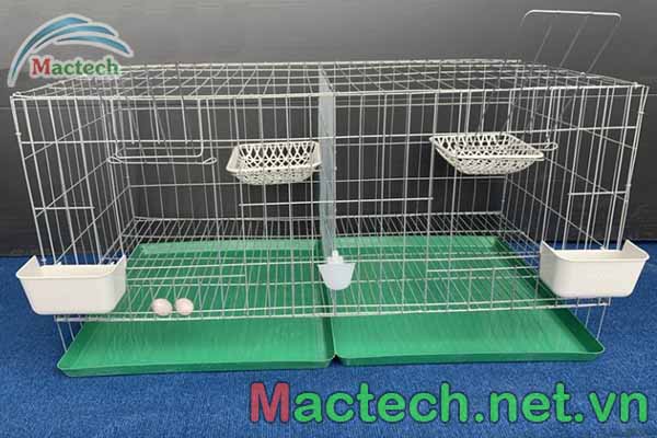Lồng nuôi sinh sản bồ câu