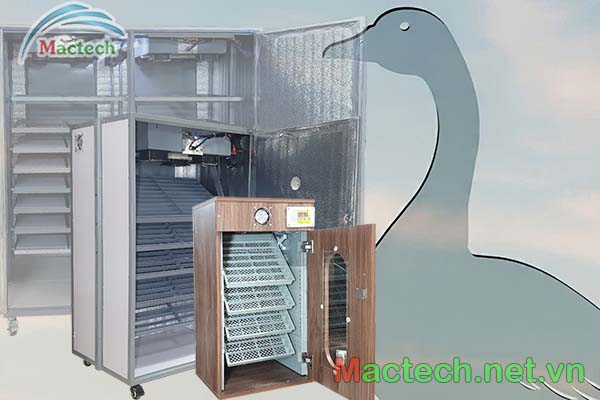 Máy ấp trứng ngỗng Mactech