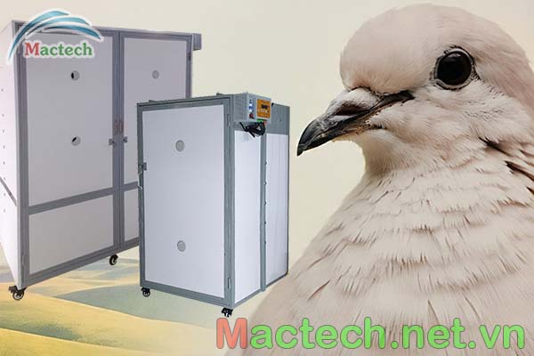 Máy ấp trứng công nghiệp Mactech