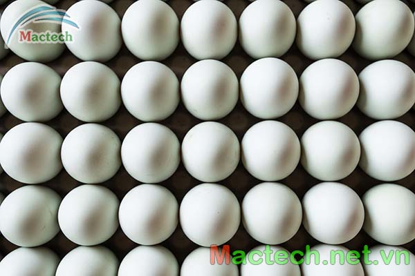 Một năm vịt đẻ bao nhiêu trứng
