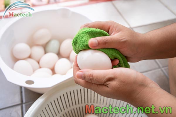 Vệ sinh trứng vịt đúng cách