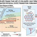 Hiện Tượng Thăng Hoa Của Nước